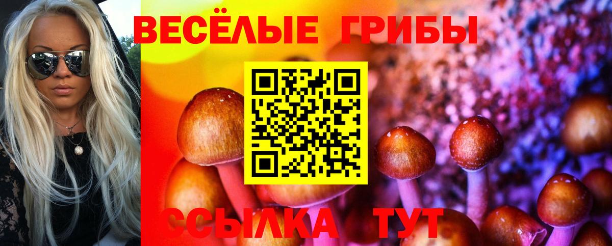 Галлюциногенные грибы ЛСД  Вход с VPN  Владимир 